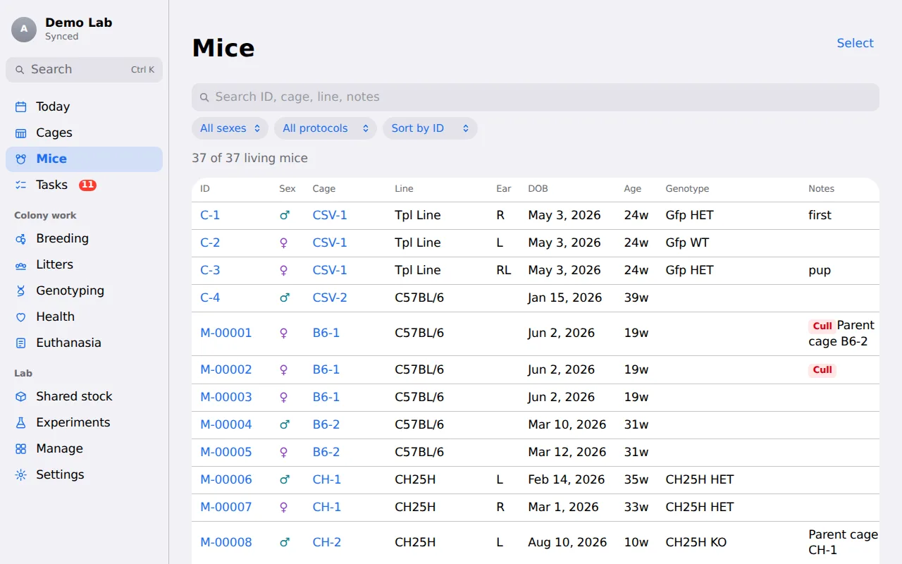 The Mice table on a computer: IDs, sex, cage, line, ear notch, date of birth, age and genotype