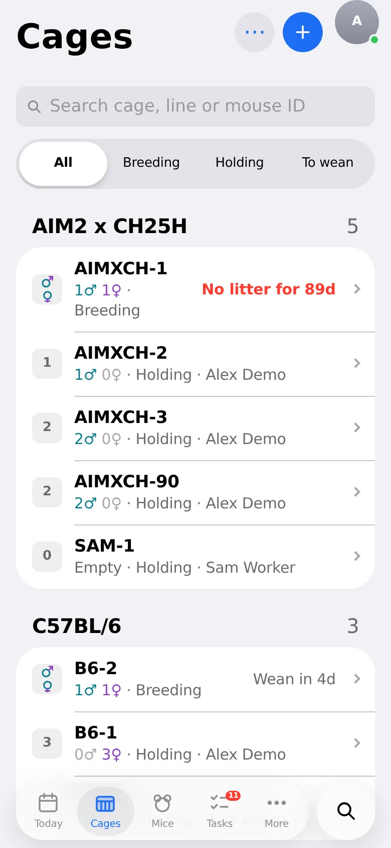 The Cages list grouped by line, breeding cages first with the litter’s age and when it’s due to wean